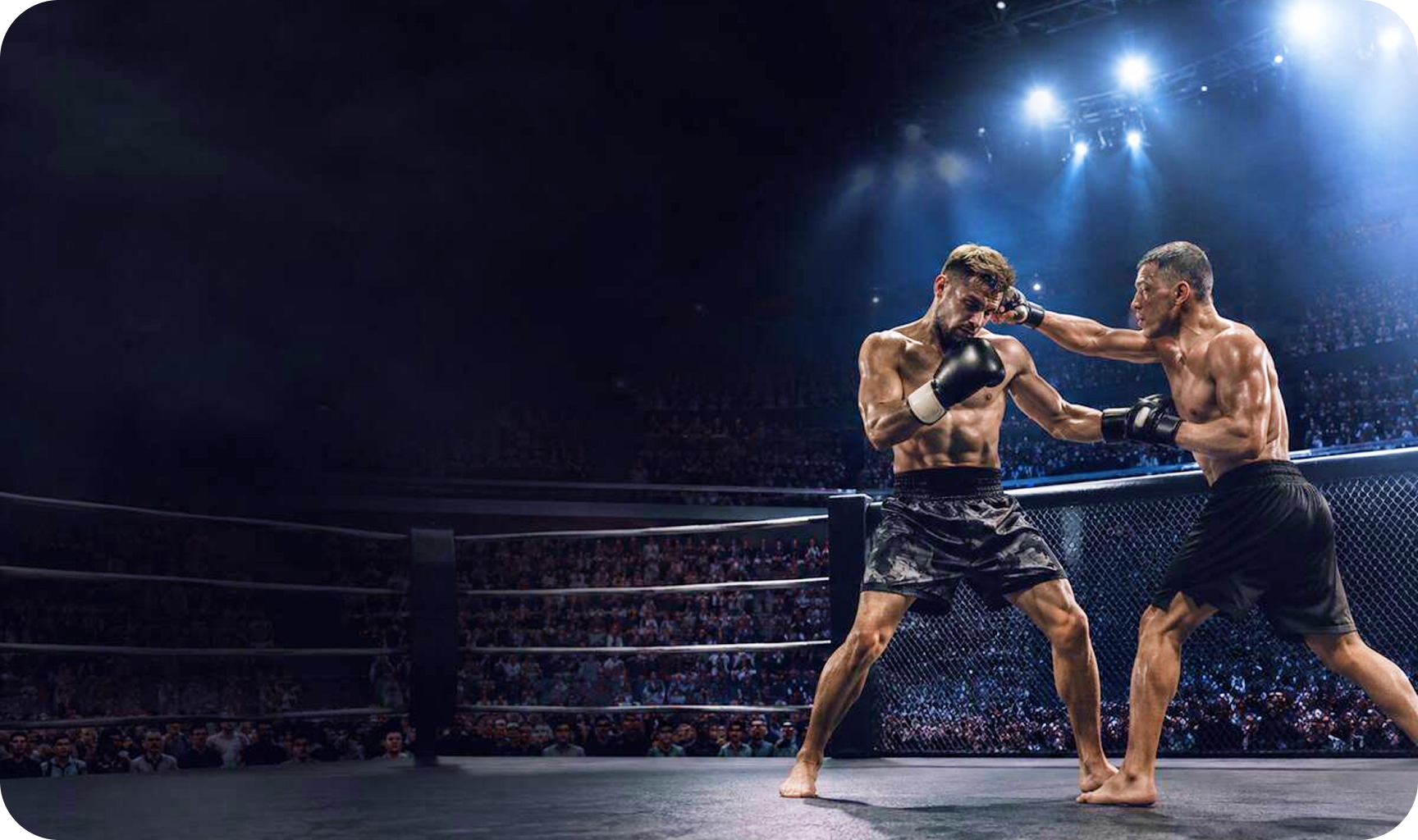 Boxing & MMA